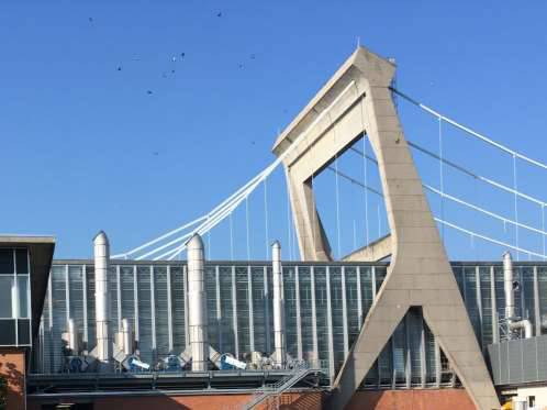 lario-energy-progest-06